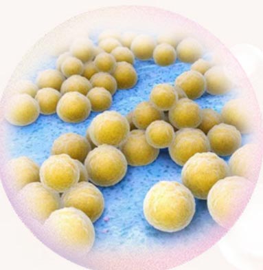 Silver Ion Antibacterial Gel for Men